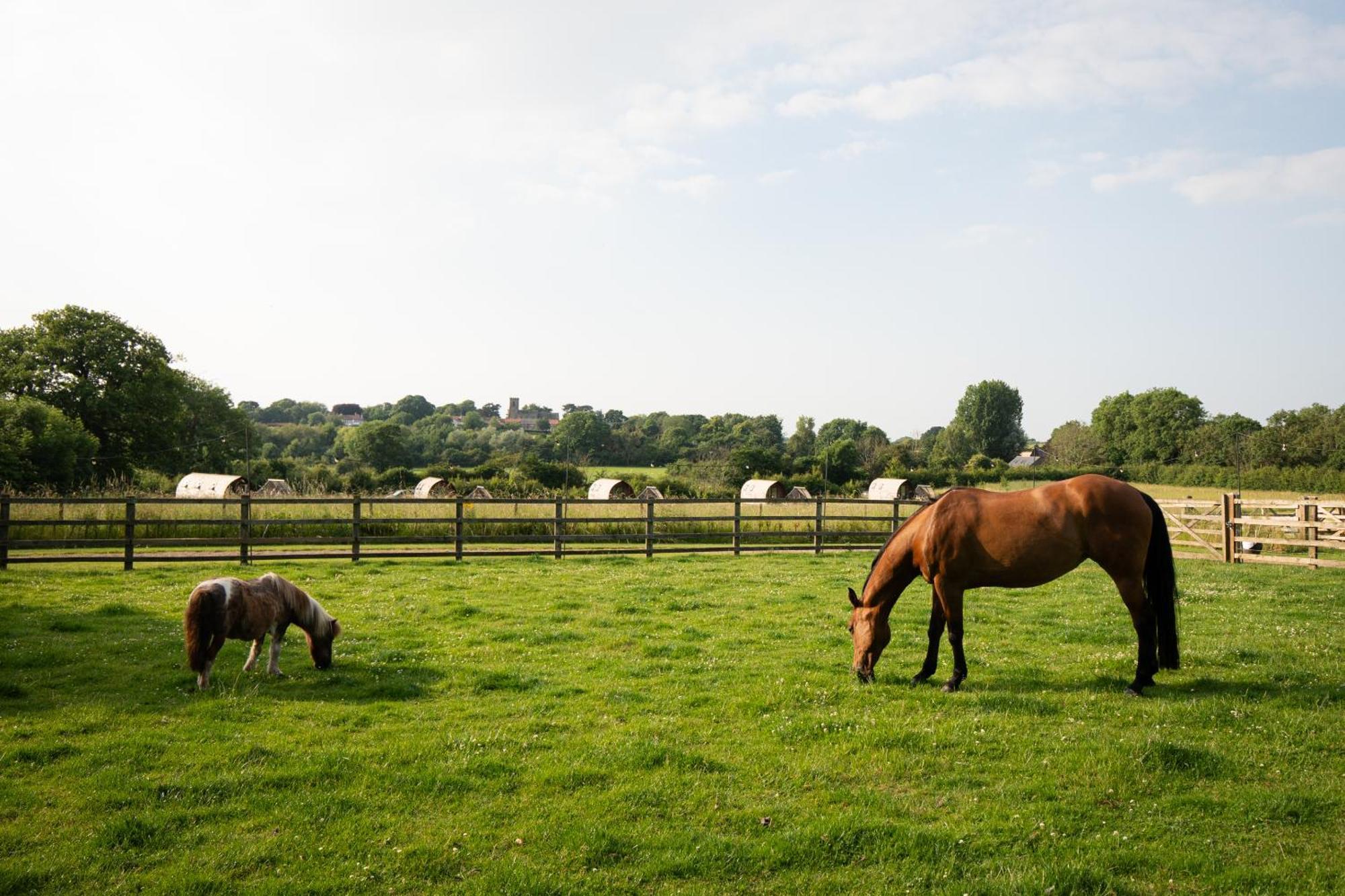 Sedgewell Barn By Wigwam Holidays นอร์ทอัลเลอร์ทัน ภายนอก รูปภาพ