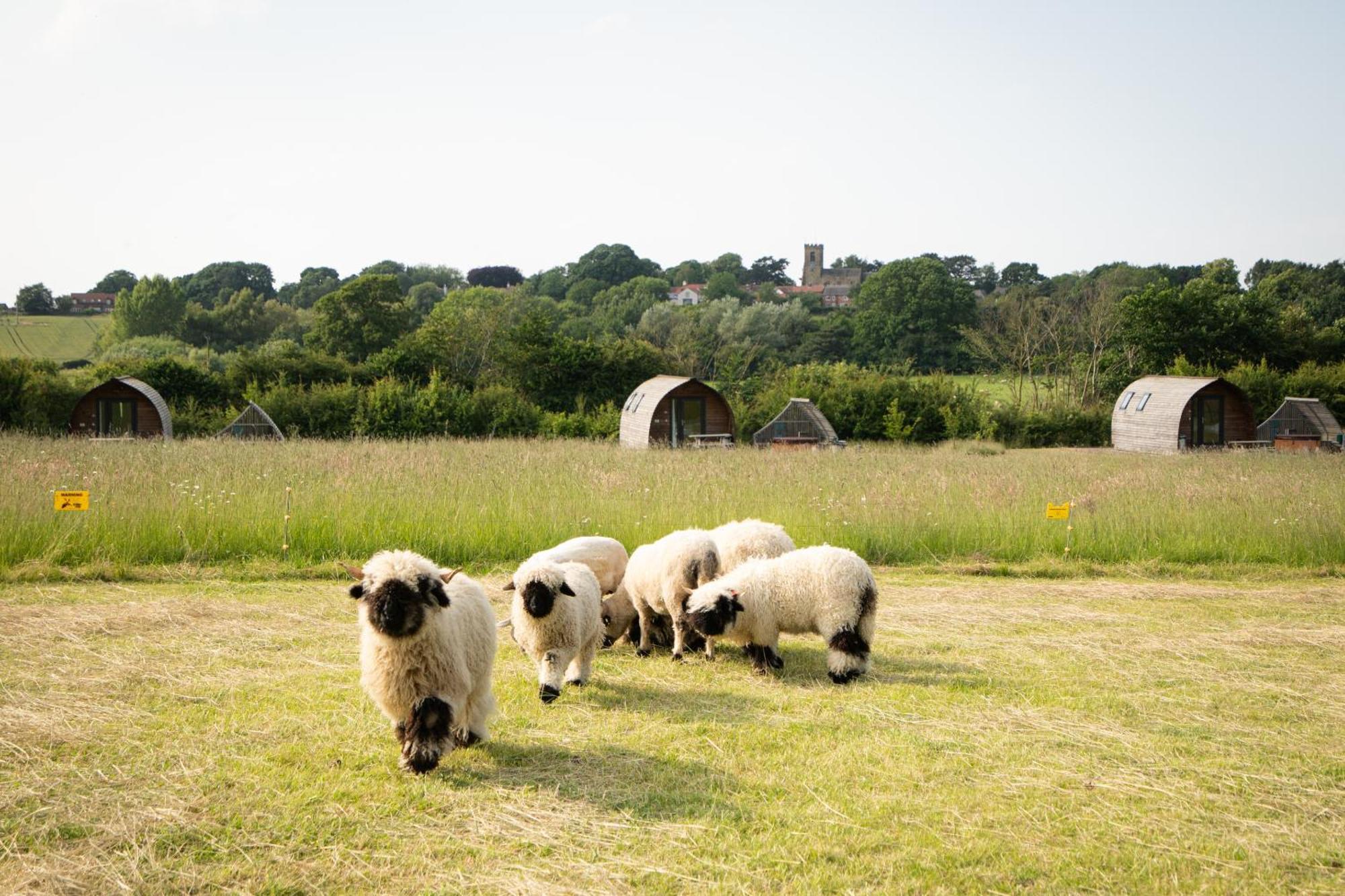 Sedgewell Barn By Wigwam Holidays นอร์ทอัลเลอร์ทัน ภายนอก รูปภาพ